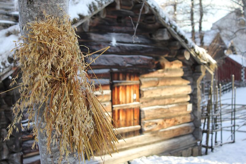 Sverre Haga | Juledagstur – julebussen | «Smaken av jul på jæren»