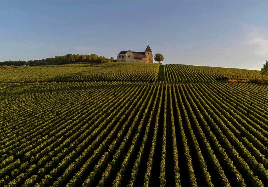 Risdal Touring | Champagneopplevelser i Frankrike – Reims, Mercier og Hautvillers