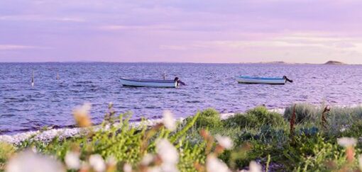 Risdal Touring | Sommer i Danmark – opphold i Horsens, med utflukt til Samsø og Ribe