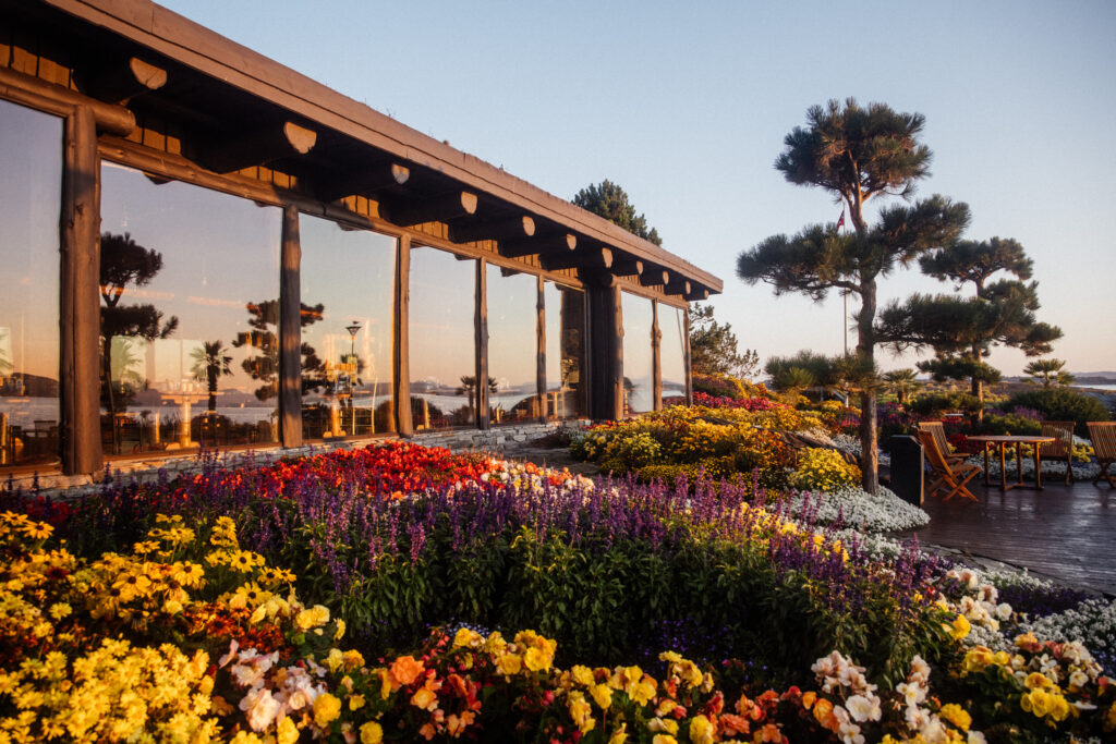 Sula Touring | Opplev Flor og Fjære