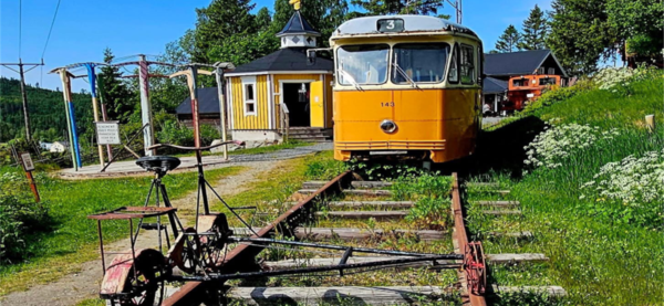 Bilde tatt av reiseleder Linda på turen i 2025 