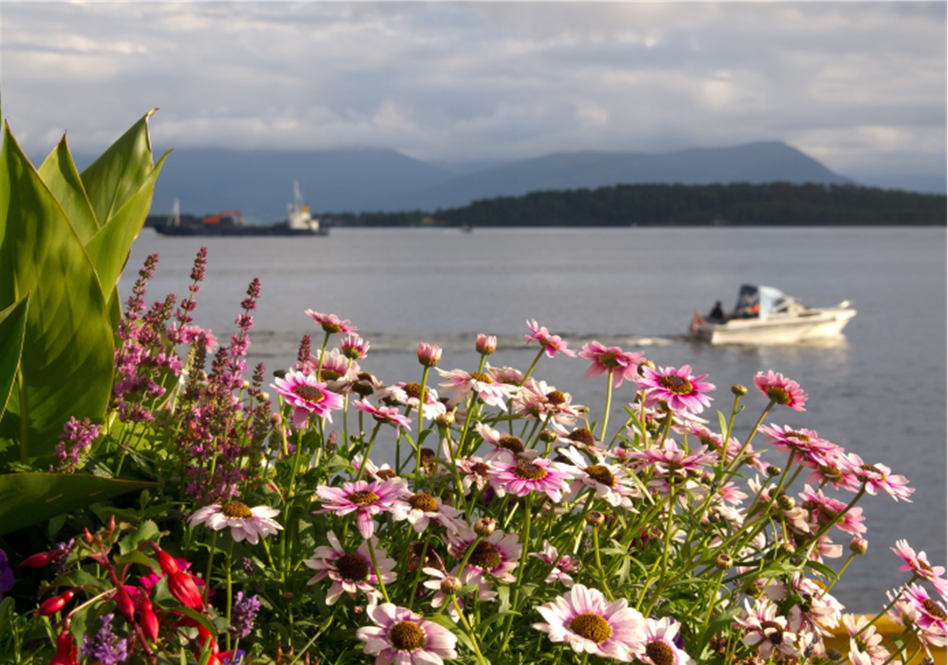 Sverre Haga | Sommertur til Hardanger