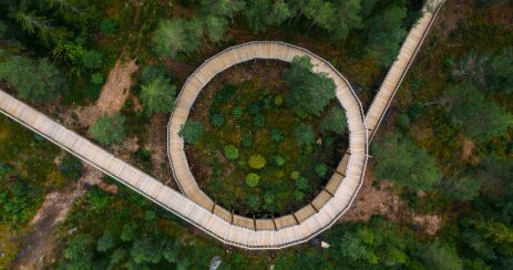 Risdal Touring | Dagstur til Tretoppstien