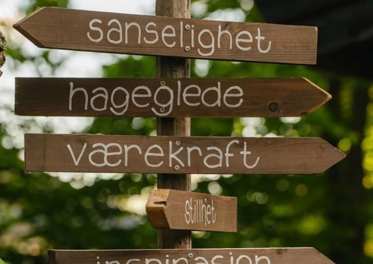 Bli med LB-tur til Nerdrum museet og Ingunns hage