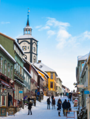Bli med LB Tur og Gjerstad tur og taxi til Røros og Rørosmartnan
