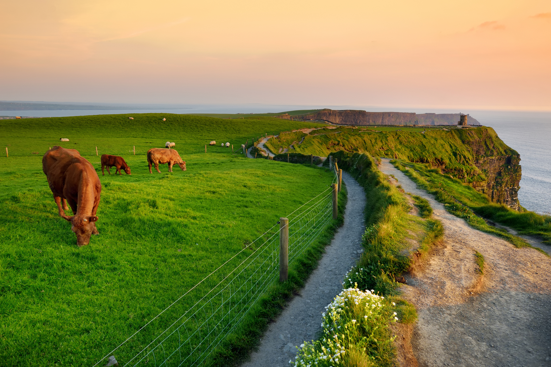 Bli med Risdal Touring til Dublin og den irske vestkysten - Cliffs of Moher og Burren