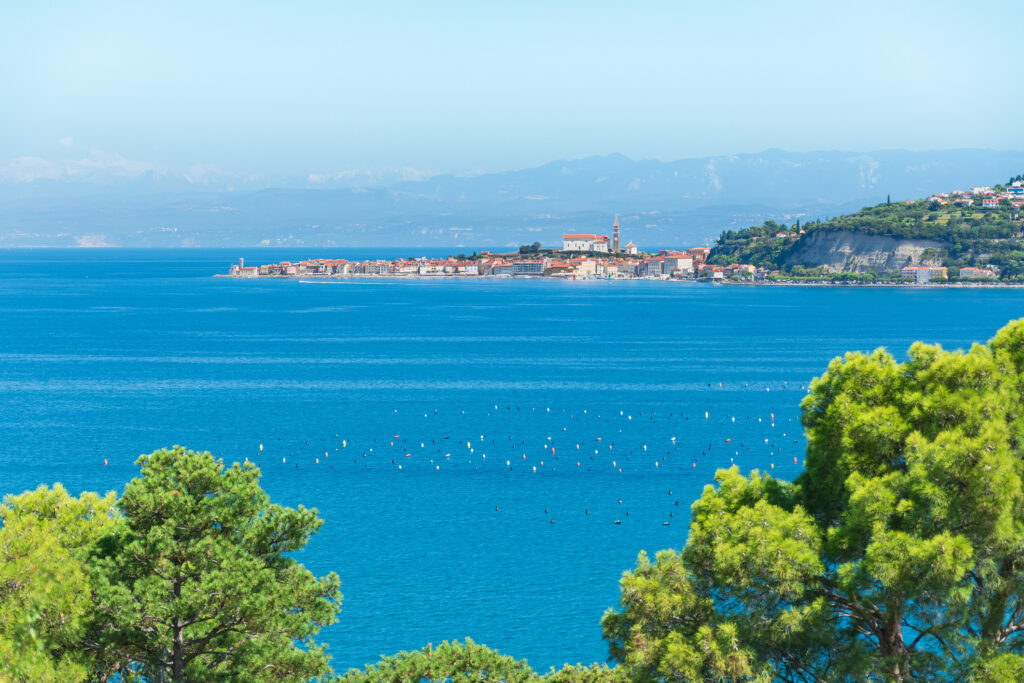 Risdal Touring | Portoroz ved Adriaterhavet – den årlige 18. mai turen!
